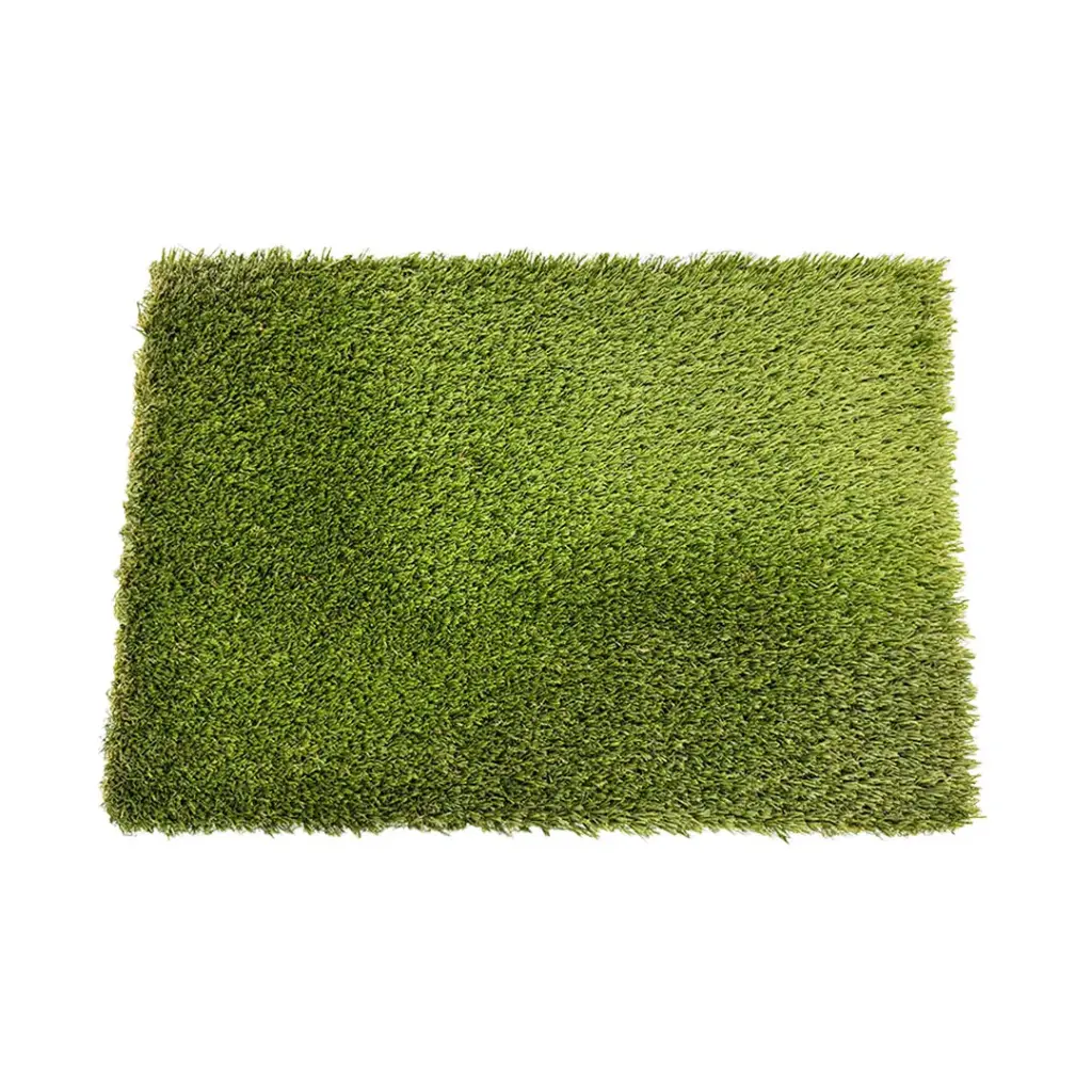 sibari_grass_exclusive.webp
