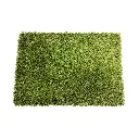 sibari_grass_exclusive.webp