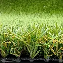 sibari_grass_exclusive 2.webp