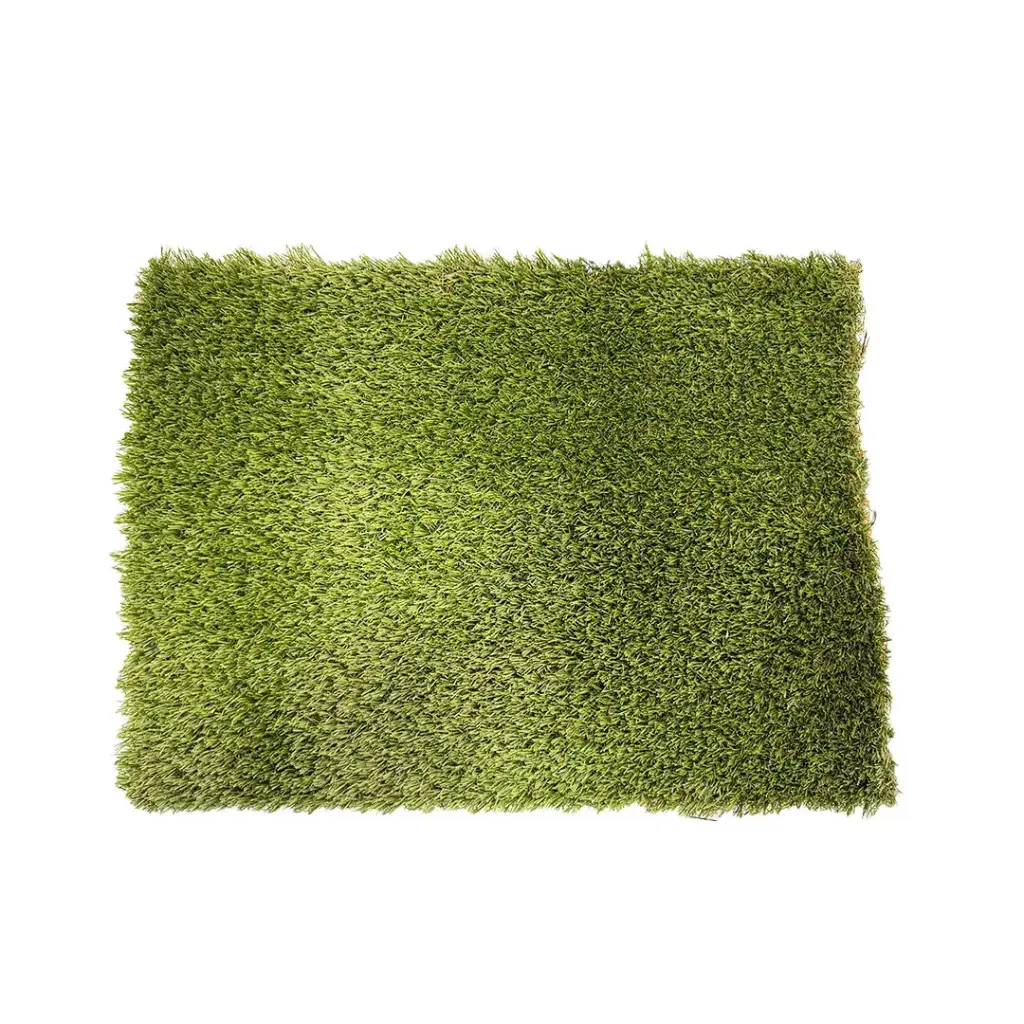 sibari_grass_deluxe.webp
