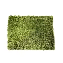 sibari_grass_deluxe.webp