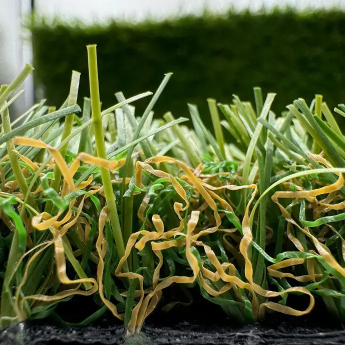 sibari_grass_deluxe 2.webp