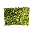 sibari_grass_ecotive_lite.webp