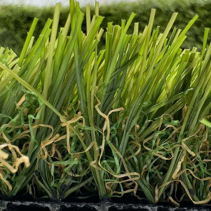 sibari_grass_ecotive 2.webp