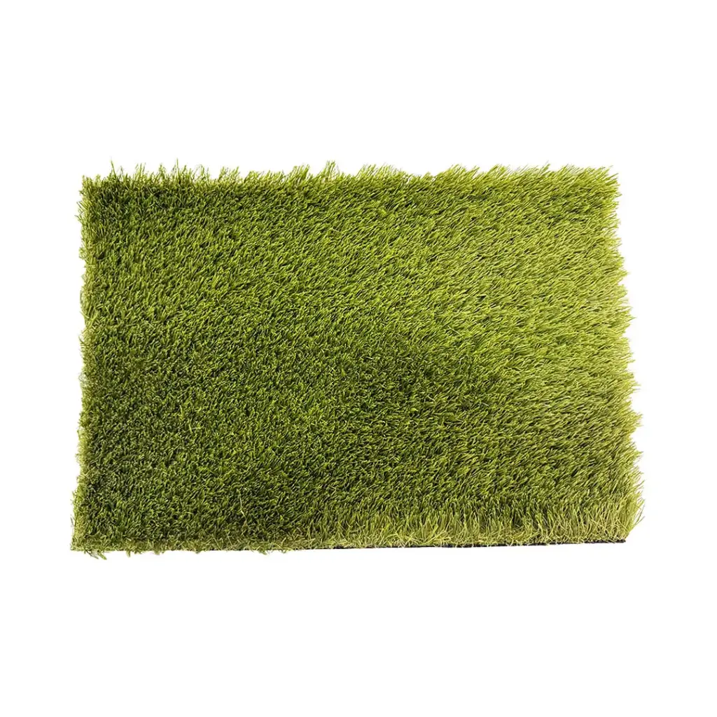 sibari_grass_ecotive.webp