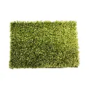 sibari_grass_ecotive.webp